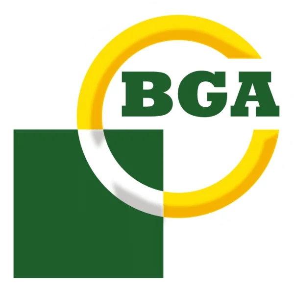 BG Automotive